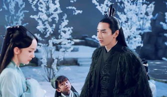 重生后嫁给前任他三叔短剧  重生后嫁给前任他三叔短剧，重生后嫁给前任他三叔，爱情与复仇的交织--第1张