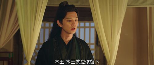 我的医妃不好惹短剧  我的医妃不好惹短剧--第1张