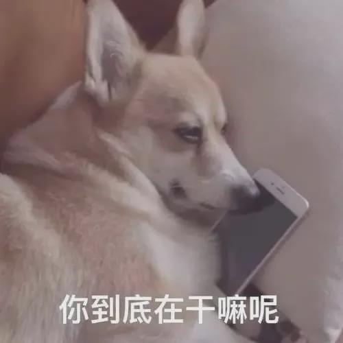 我再也不想恋爱了我有九千万亿舔狗金短剧  我再也不想恋爱了，我有九千万亿舔狗金短剧--第1张