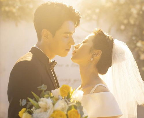 爱情从结婚开始短剧  爱情从结婚开始短剧，爱情从结婚开始，婚姻生活中的甜蜜与挑战--第1张
