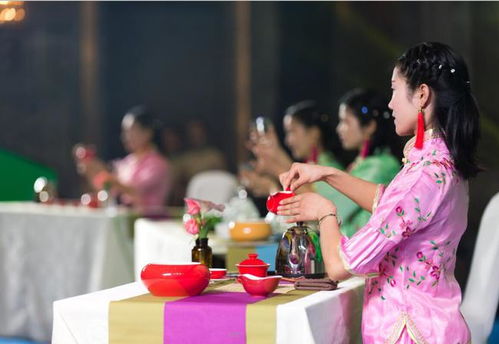似是佳人来短剧  似是佳人来短剧--第1张