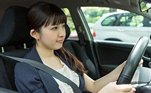 女总裁的代驾小司机短剧  女总裁的代驾小司机，女总裁的代驾小司机日常--第1张