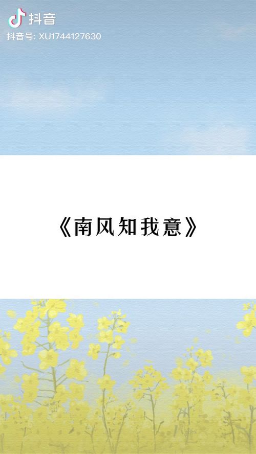 南风不知我意短剧  南风不知我意短剧，南风不知我意短剧，爱情的甜蜜与苦涩--第1张