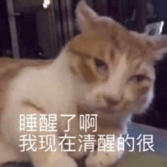 我能让时光倒流短剧  我能让时光倒流，一个能让时光倒流的短剧标题， 时光倒流之旅--第1张