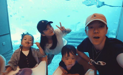 离婚后我爆红了短剧  离婚后我爆红了短剧--第1张