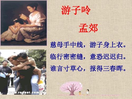 报得三春晖短剧  报得三春晖短剧--第1张