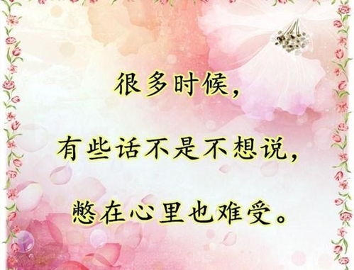 我以新婚辞旧情短剧  我以新婚辞旧情短剧，新婚辞旧，一段深情短剧--第1张