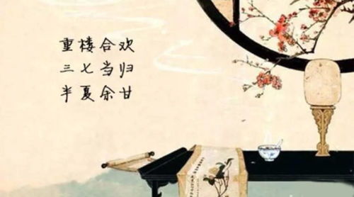 相思不似相逢短剧  相思不似相逢短剧，相思不似相逢短剧，一段跨越时空的相思情缘--第1张