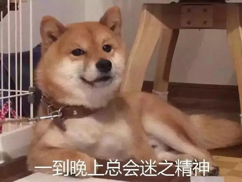 开局即巅峰舔狗之王开局被甩成为神豪大佬短剧  开局即巅峰舔狗之王开局被甩成为神豪大佬短剧--第1张
