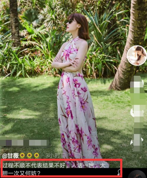 离婚后带崽嫁给千亿霸总短剧  离婚后带崽嫁给千亿霸总短剧，离婚后带崽嫁给千亿霸总，再婚短剧--第1张