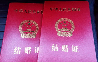 离婚后美女总裁追着我领证短剧  离婚后美女总裁追着我领证短剧--第1张