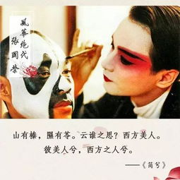世界首富的纨绔少爷短剧  世界首富的纨绔少爷短剧--第1张