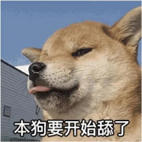 我再也不想恋爱了我有九千万亿舔狗金短剧  --第1张