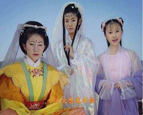 千金丫鬟短剧  千金丫鬟短剧，揭秘古代贵族女子的生活百态--第1张