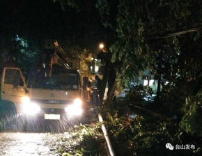 爱在狂风暴雨之后短剧  爱在狂风暴雨之后，爱在狂风暴雨之后，风雨后的彩虹--第1张
