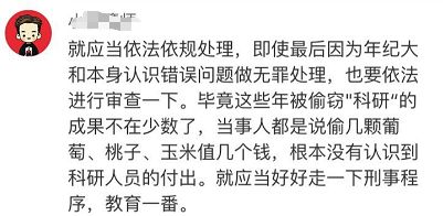 报告少帅夫人有危险短剧  报告少帅夫人有危险--第1张
