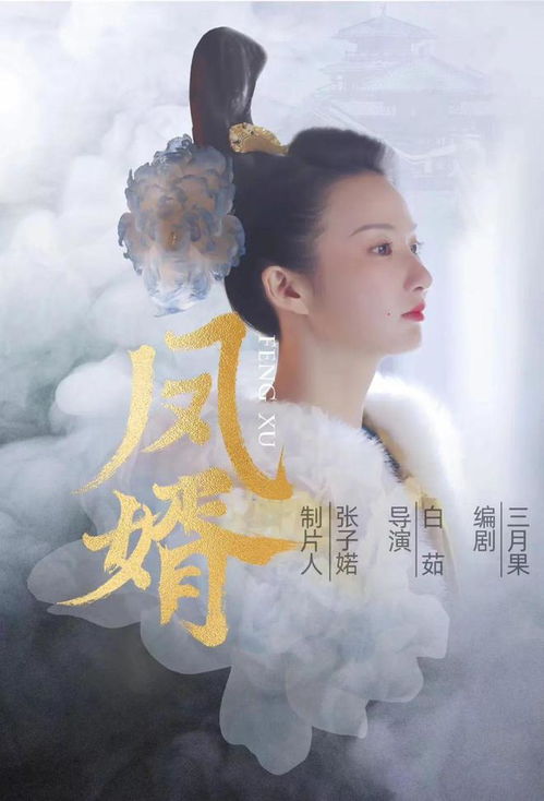 玲珑战婿短剧  玲珑战婿短剧，玲珑战婿，逆袭之路--第1张