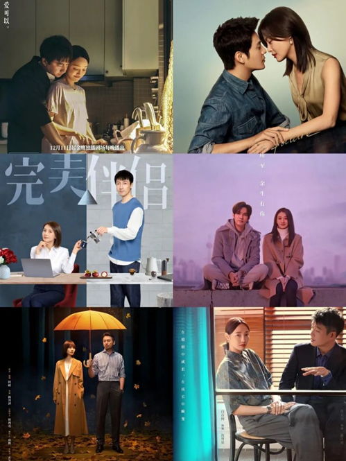 帝婿归来短剧  帝婿归来短剧，重生之帝婿归来短剧--第1张