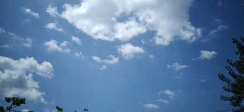 云遮不见月徐徐短剧  云遮不见月徐徐短剧，云遮不见月，徐徐短剧--第1张