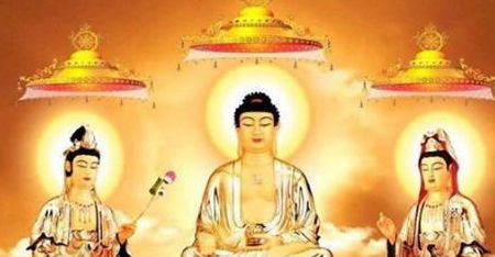 重生之财源滚滚短剧  重生之财源滚滚短剧--第1张