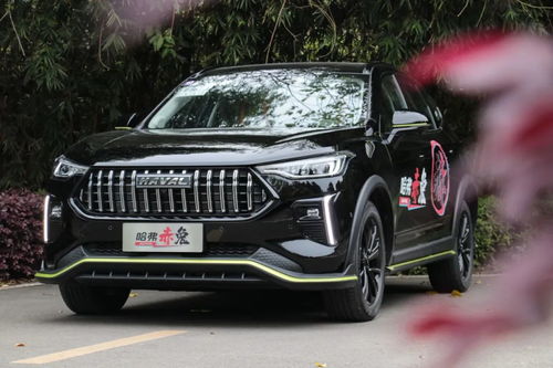 哈弗赤兔和h6哪个好_哈弗赤兔和哈弗h6区别--第1张