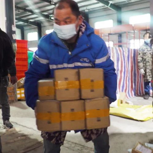成为快递员后我有了七个老婆短剧  成为快递员后我有了七个老婆--第1张