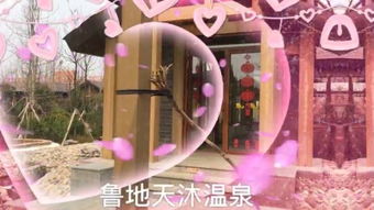 缘来是你短剧  缘来是你短剧，缘来是你，短剧惊喜--第1张