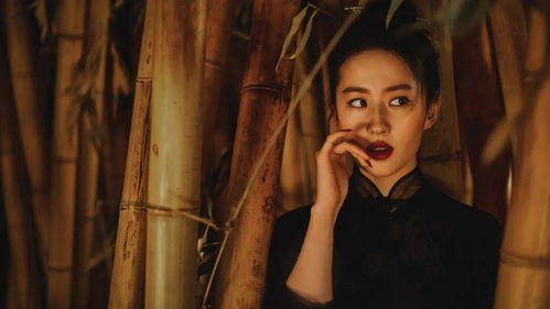 重生后安小姐又美又飒短剧  重生后安小姐又美又飒短剧，重生后安小姐又美又飒短视频标题--第1张