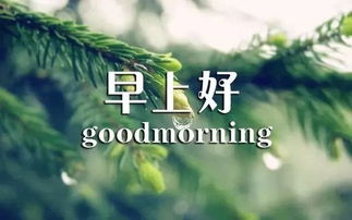 心情图片大全带字_心情图片大全带字人生不过三万天,自由一天是一天--第1张