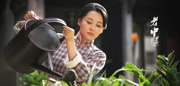 顾太太把你拉黑了短剧免费看_顾太太是什么电视剧人物--第1张