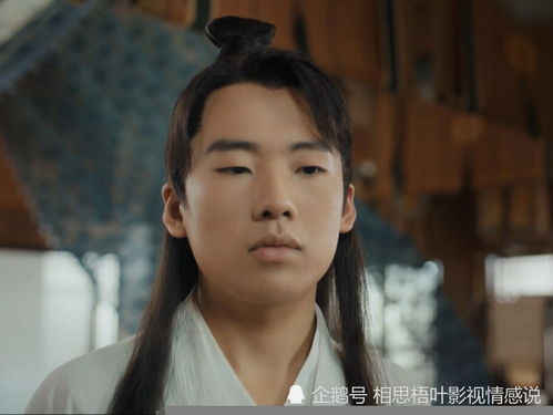 赘婿的故事大结局_赘婿的故事大结局视频播放--第1张