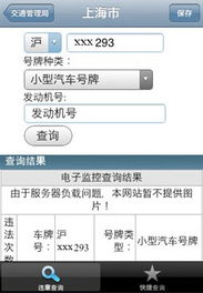 不是本人机动车怎么查违章_不是本人的车辆如何查询违章--第1张