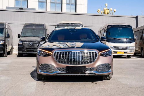 迈巴赫s500报价多少钱_迈巴赫s5600报价--第1张