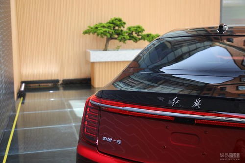 红旗最新款车型hs9_红旗最新款车型h9图片--第1张