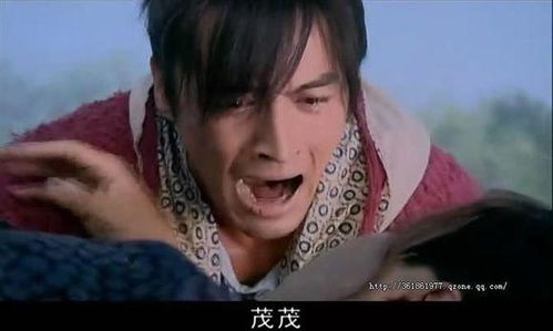 下山祸害你师姐短剧在线观看全集  下山祸害你师姐短剧在线观看全集--第1张