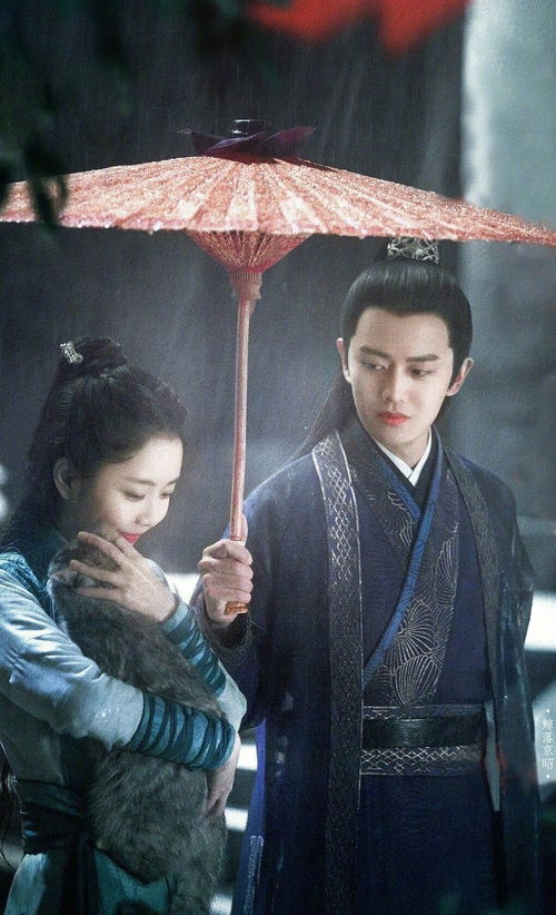 最强帝师县令短剧在线观看全集  最强帝师县令短剧在线观看全集--第1张