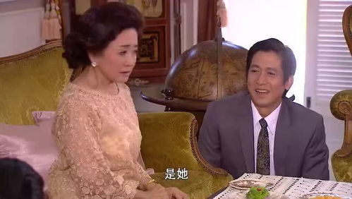 财阀继承人短剧在线观看全集  财阀继承人短剧在线观看全集，财阀继承人短剧在线观看全集，财阀家族的继承之路--第1张
