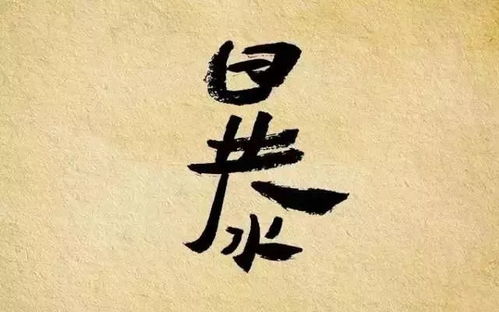 十年寒窗无人问短剧在线观看全集  十年寒窗无人问短剧在线观看全集，短剧在线观看全集，十年寒窗无人问--第1张