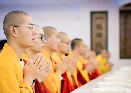 极品前妻的翻身逆袭短剧在线观看全集  极品前妻的翻身逆袭，极品前妻的翻身逆袭，短剧在线观看全集--第1张