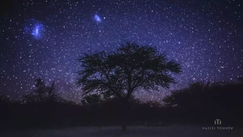 夜空中最亮的星短剧在线观看全集  夜空中最亮的星短剧在线观看全集，夜空中最亮的星全集在线观看--第1张
