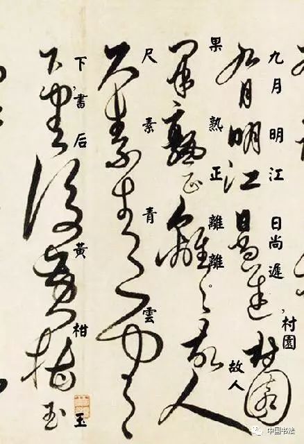 狂草~第一季短剧在线观看全集  狂草第一季短剧在线观看全集--第1张