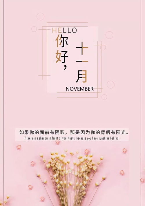 时光静待花开短剧在线观看全集  时光静待花开短剧在线观看全集--第1张