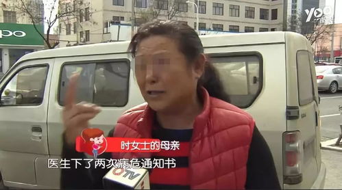 钱金金的驭夫之路短剧在线观看全集  钱金金的驭夫之路短剧在线观看全集，钱金金的驭夫之路，短剧在线观看全集--第1张
