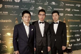 离婚后重归巅峰离婚后公布亿万身价短剧在线观看全集  离婚后重归巅峰，亿万身价公开，短剧在线观看全集，离婚后重归巅峰，亿万身价公开，短剧在线观看全集--第1张