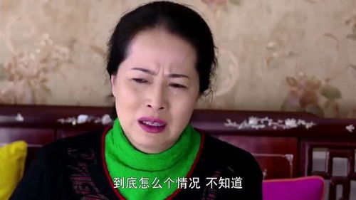 离婚后前妻高攀不起短剧在线观看全集  离婚后前妻高攀不起短剧在线观看全集，离婚后前妻高攀不起短剧在线观看全集，离婚后的故事--第1张