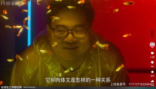 破局短剧在线观看全集  破局短剧在线观看全集，一场视觉与剧情的盛宴--第1张