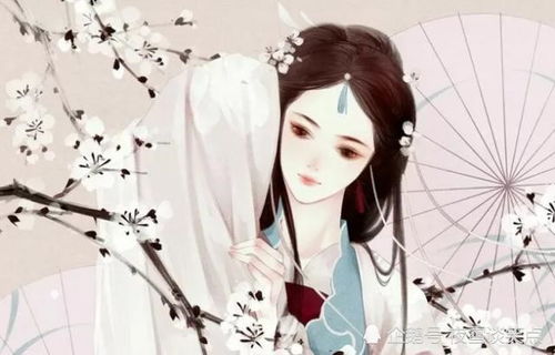 医妃撩人重生嫡女不好惹短剧在线观看全集  医妃撩人，重生嫡女不好惹，医妃撩人，重生嫡女不好惹短剧在线观看全集--第1张