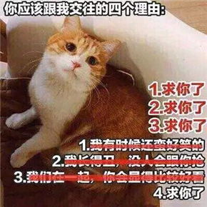 我再也不想恋爱了我有九千万亿舔狗金短剧在线观看全集  我再也不想恋爱了，一个富有的年轻人不再渴望恋爱，而是享受着九千万亿舔狗金带来的财富和关注。--第1张
