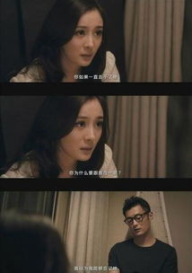 再婚之真大佬她又娇又飒短剧在线观看全集  再婚之真大佬她又娇又飒短剧在线观看全集--第1张