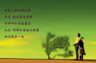 世界上最遥远的距离短剧在线观看全集  世界上最遥远的距离短剧在线观看全集，世界上最遥远的距离短剧在线观看全集，爱情与距离的较量--第1张